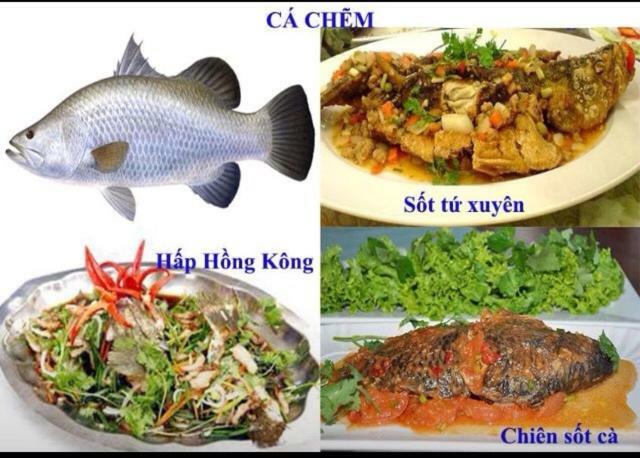 Khách Sạn Thu Linh Thanh Hóa Exterior foto
